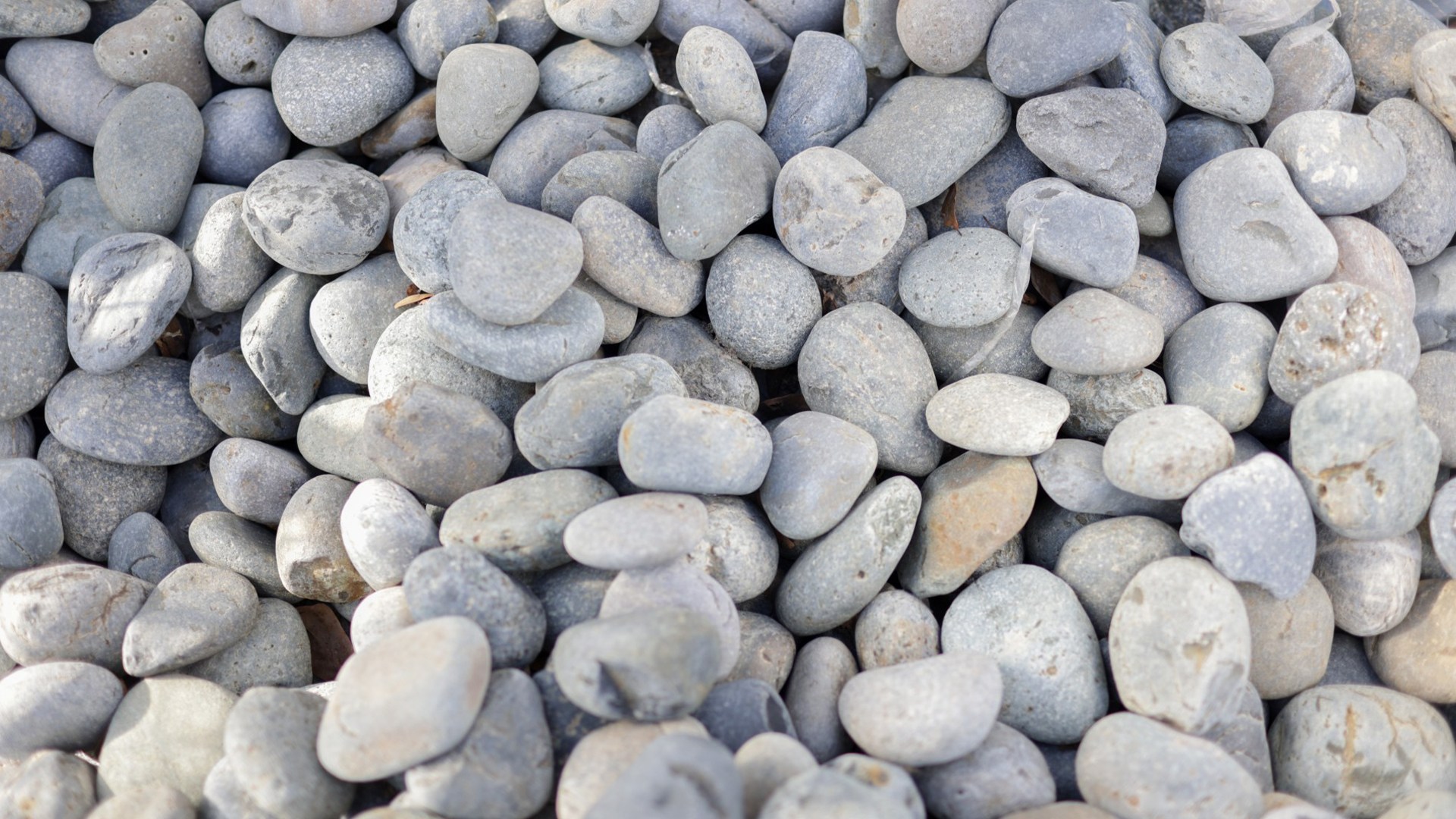 1744221446-About-Us-Header-Image1-_11zon
