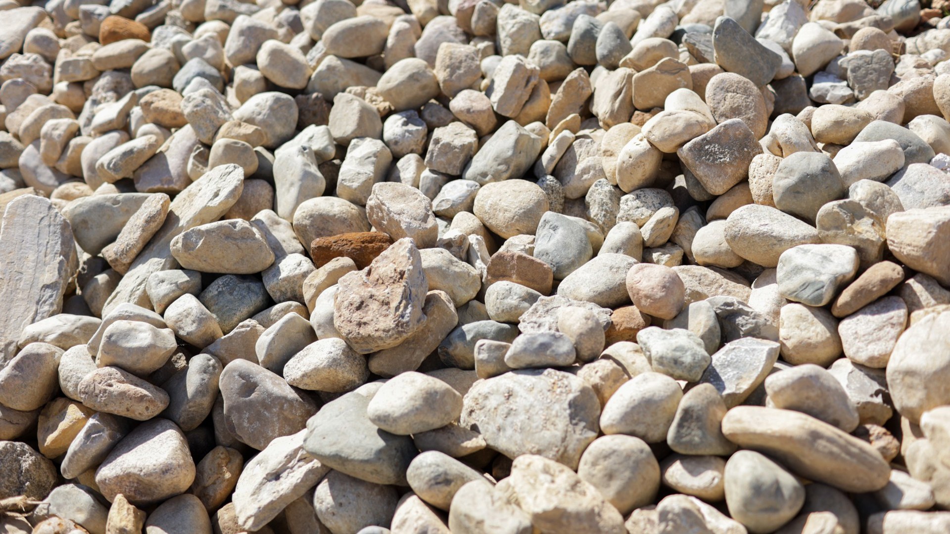 1744221446-About-Us-Header-Image1-_11zon